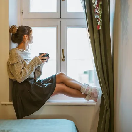 Comfort Inside Or Outside * 코세그